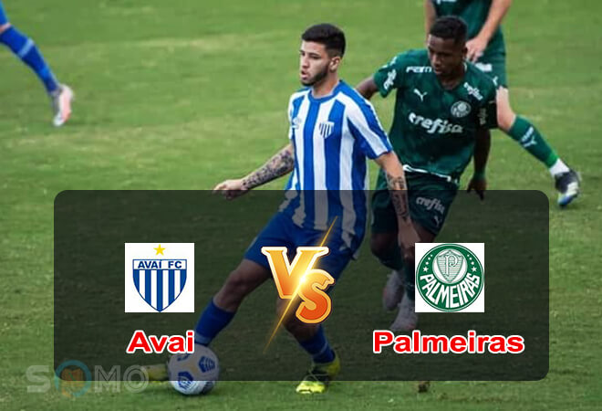 Nhận định trận đấu Avai vs Palmeiras, 02h00 ngày 27/06/2022