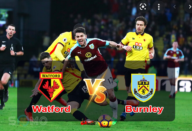  Nhận định trận đấu Watford vs Burnley, 21h00 ngày 30/04/2022