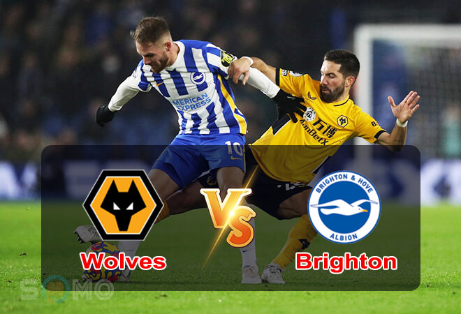 Nhận định trận đấu Wolves vs Brighton, 21h00 ngày 30/04/2022