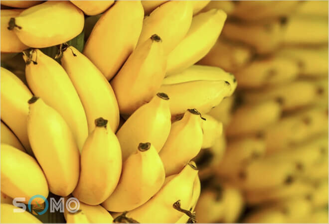 giấc mơ thấy mình ăn quả chuối