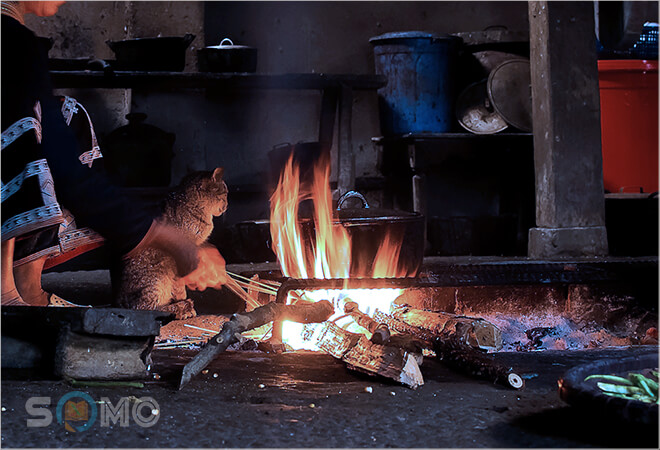 mơ thấy bếp lửa