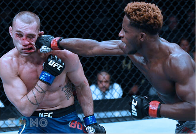 mơ thấy bị đấm