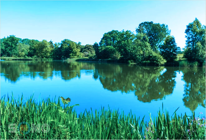 mơ thấy ao hồ sông ngòi có ý nghĩa gì