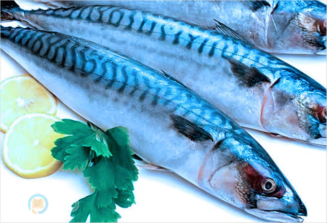 mơ thấy cá thường