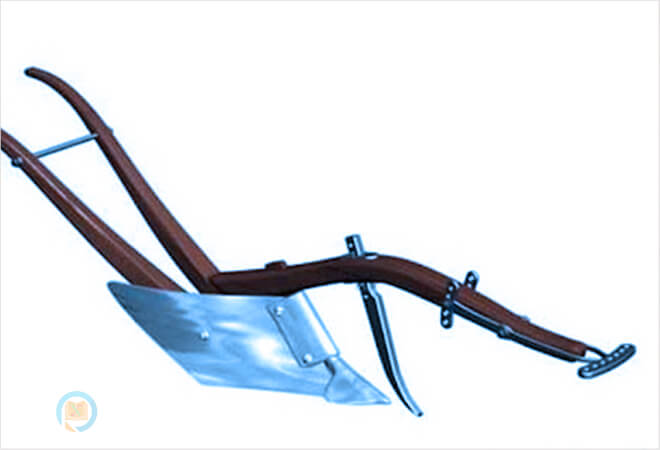 mơ thấy c&aacute;i c&agrave;y