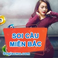 Phân tích Soi Cầu 999 XSMB ngày 27/01/2024: Thống kê Cầu Loto Miền Bắc