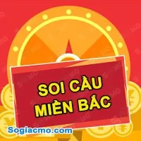 Phân tích Soi Cầu Betwin XSMB ngày 29/01/2024: Thống kê Cầu Loto Miền Bắc