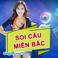 Phân tích Soi Cầu 7777 XSMB ngày 31/01/2024: Thống kê Cầu Loto Miền Bắc
