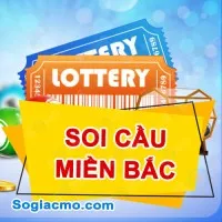 Phân tích Soi Cầu Wap XSMB ngày 01/02/2024: Thống kê Cầu Loto Miền Bắc