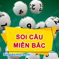 Phân tích Soi Cầu Đại Cát MB ngày 14/02/2024: Thống kê Cầu Loto Miền Bắc