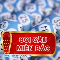 Phân tích Soi Cầu 88 MB ngày 13/02/2024: Thống kê Cầu Loto Miền Bắc