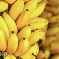 Giải mã giấc mơ ăn chuối: Cẩn thận với điềm báo ngọt ngào và đừng bỏ lỡ cặp số may mắn