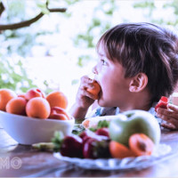 Giải mã giấc mơ thấy ăn hoa quả, Điềm báo ngọt ngào và những con số may mắn bất ngờ