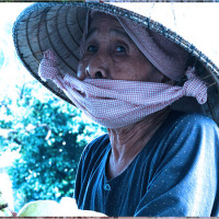 Nằm mơ thấy bà vãi xuất hiện: Bí ẩn tâm linh và con số liên quan