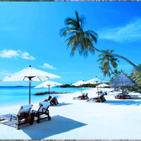 Giấc mơ thấy bãi biển tiết lộ điều gì về tâm trạng và vận may?