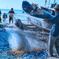 Mơ thấy bãi cá: Thông điệp về cuộc sống và con số may mắn bạn nên biết