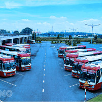 Cảnh bị lừa tại bến xe trong giấc mơ: Ý nghĩa tâm linh và số thần tài