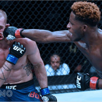 Mơ thấy bị đấm: Những điều tiềm thức muốn nói và con số may mắn