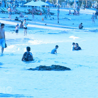 Tại sao bạn mơ thấy biển cạn: Khám phá ý nghĩa đằng sau giấc mơ và con số tài vận