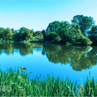 Giải mã giấc mơ thấy ao hồ sông ngòi – Điềm báo bình an hay sóng gió đang đến?