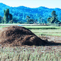 Mơ thấy đống rơm là điềm gì? Giải mã ngay con số lô đề chuẩn xác nhất