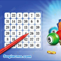 Từ kết quả Miền Bắc 20/11/2025: Nhịp lô nào thể hiện sức mạnh vượt trội?