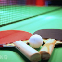 Hào hứng với giấc mơ bóng bàn: Khám phá ý nghĩa đằng sau và bộ số may mắn