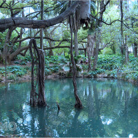 Mơ thấy bùn đầm lầy: Lời cảnh báo hay cơ hội phát tài? Chọn con số may mắn nào?