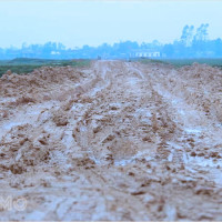 Chiêm bao thấy bùn lầy: Ý nghĩa trong cuộc sống và con số lô đề gợi ý