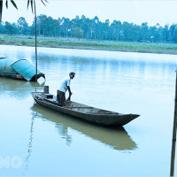 Lý giải giấc mơ đi đò từ chuyên gia: Biểu tượng tinh thần và con số may mắn