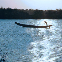 Chuyên gia giải mã mơ đi đò dọc: Dự đoán tài lộc và con số lô đề đi kèm